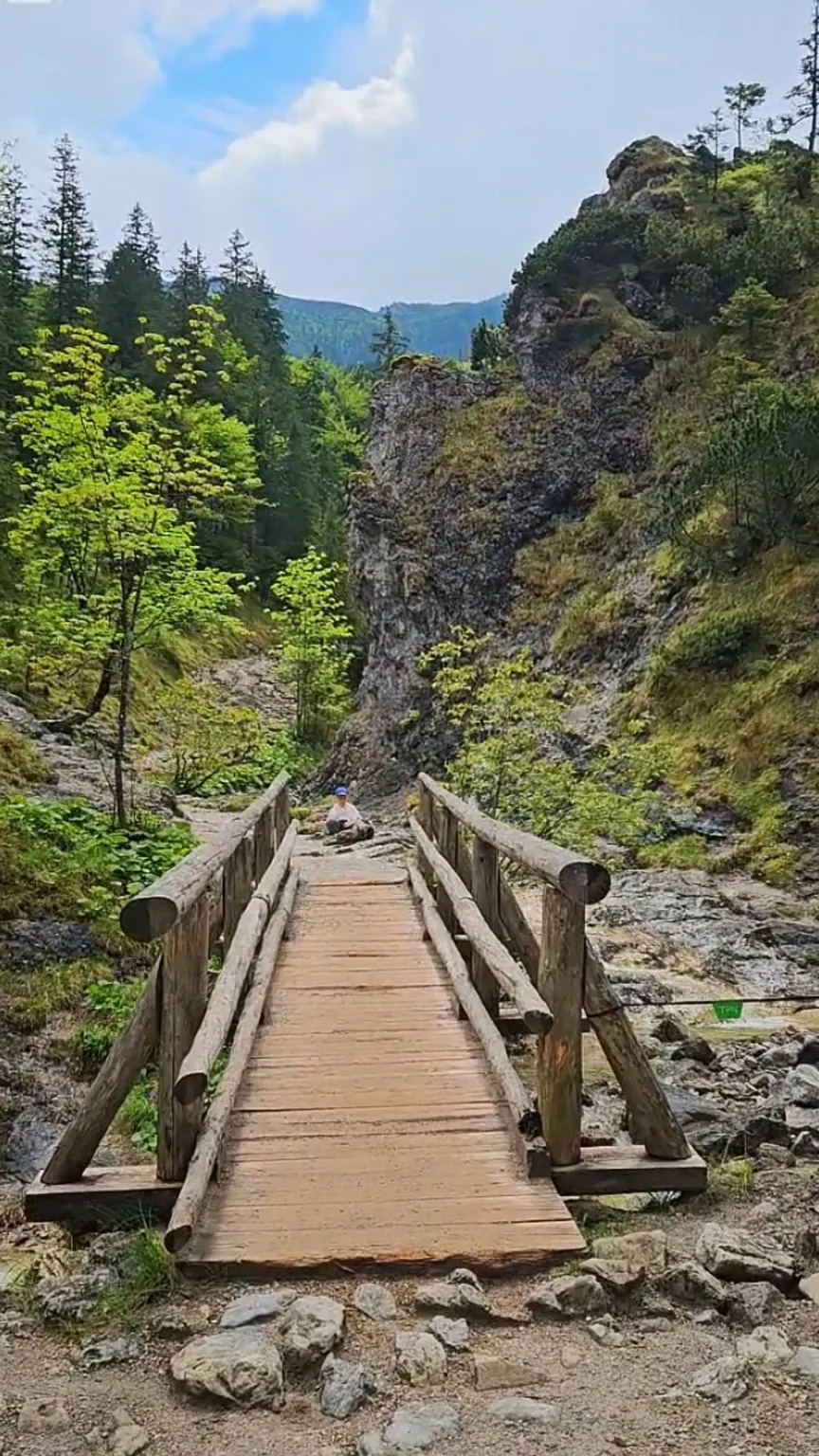 Wooden bridge over the stream on the trail through Biały Valley