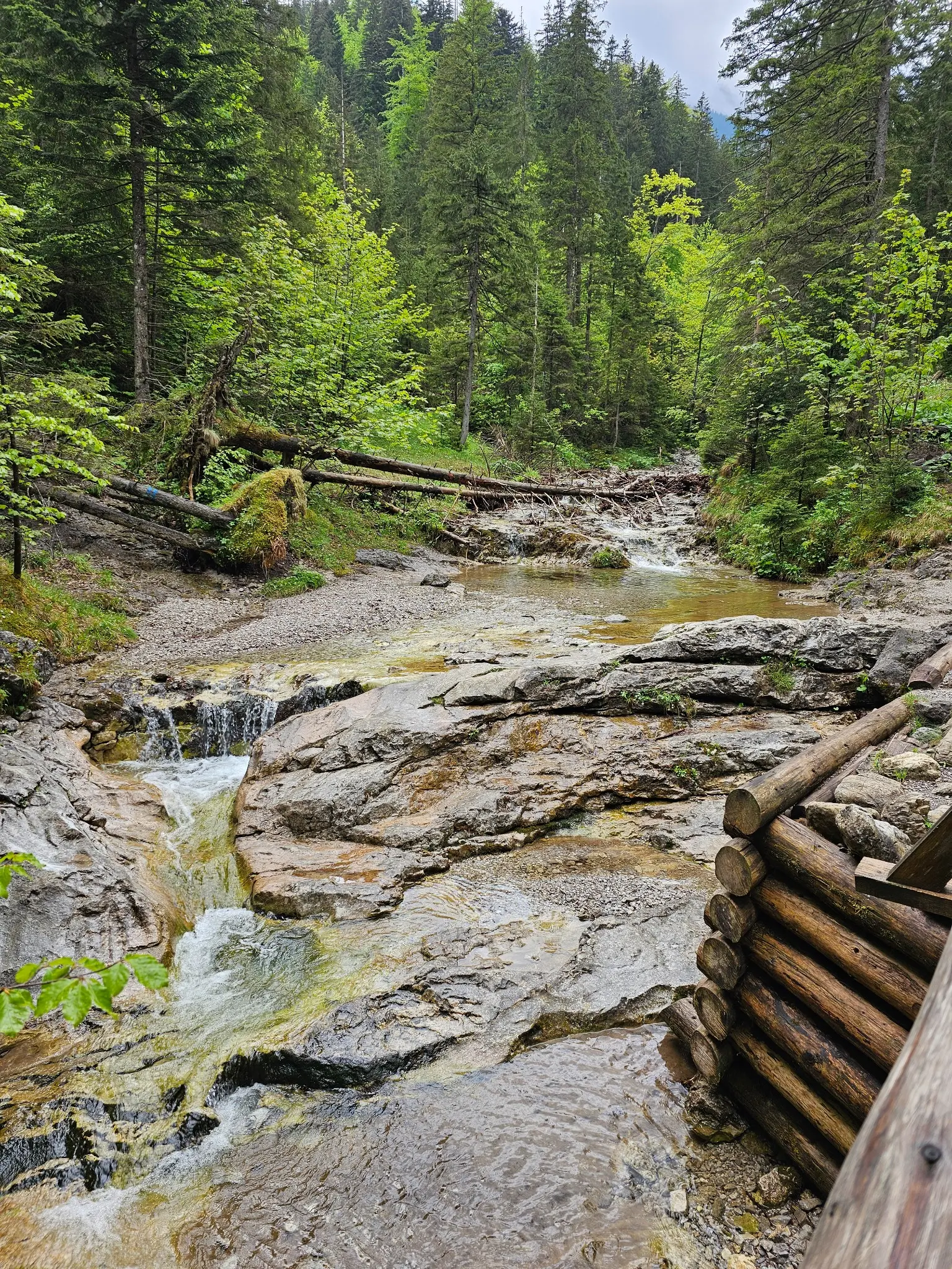 Cascades of the Biały Stream in Biały Valley
