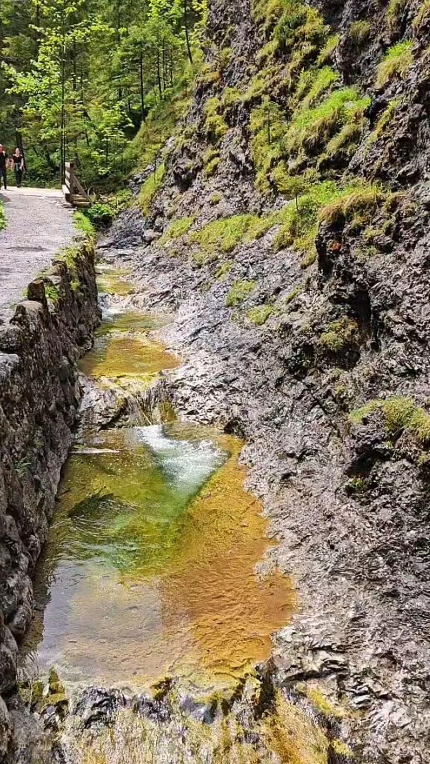 Rocky gorge and walking path in Biały Valley
